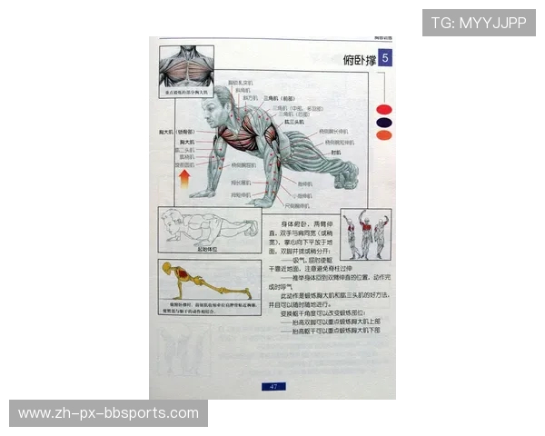 锻炼腿部力量的健身器材全套清单及使用说明 锻炼腿部力量的健身器材全套清单及使用说明